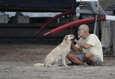 踩到狗屎意味着什么